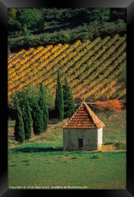 St-Chinian, autumn vineyard Framed Print by Chris Rose