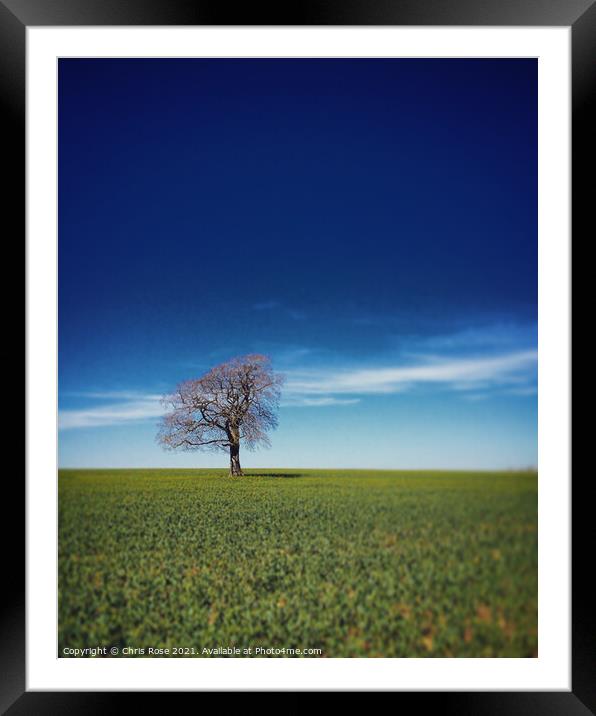 One tree on the horizon Framed Mounted Print by Chris Rose