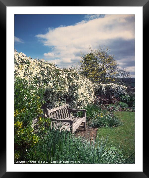 Clematis and bench Framed Mounted Print by Chris Rose