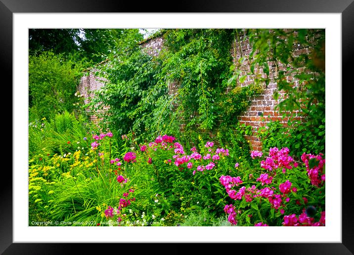 Colouful summer garden border Framed Mounted Print by Chris Rose