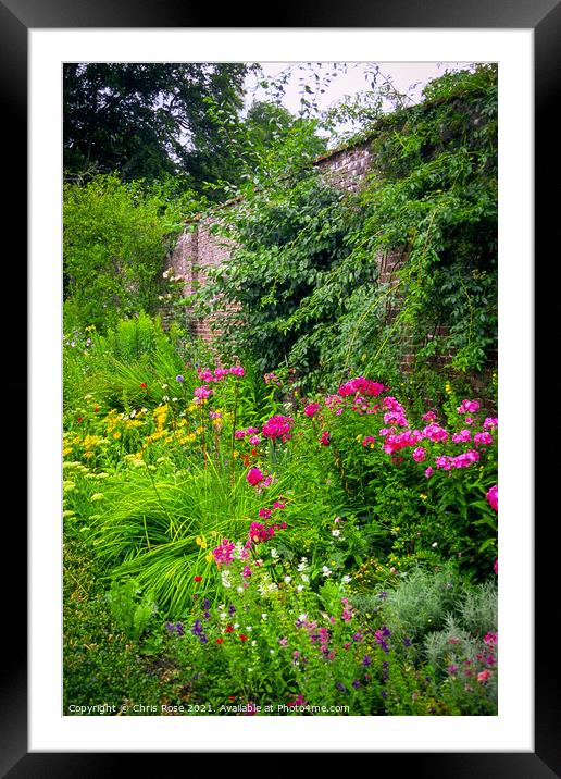 Walled garden Framed Mounted Print by Chris Rose