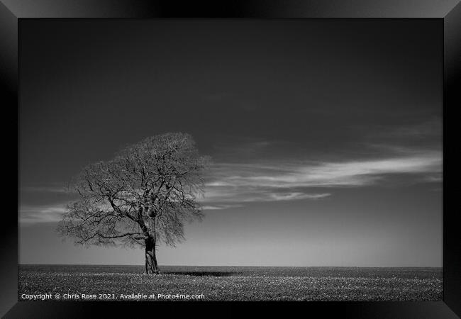 One tree on the horizon landscape Framed Print by Chris Rose