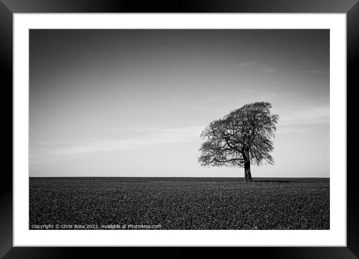 One tree on the horizon landscape Framed Mounted Print by Chris Rose