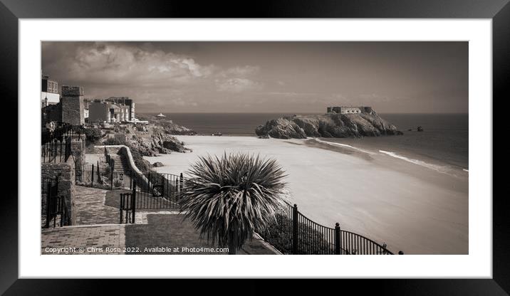 Tenby seafront spring sunshine Framed Mounted Print by Chris Rose
