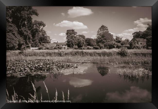 Frampton on Severn.  Village green and ponds. Framed Print by Chris Rose