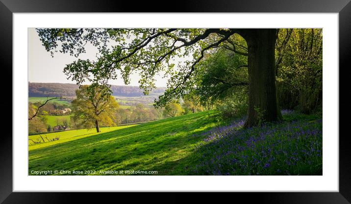 Spring landscape with bluebells Framed Mounted Print by Chris Rose