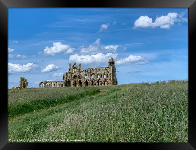 Whitby Abbey Framed Print by Chris Rose
