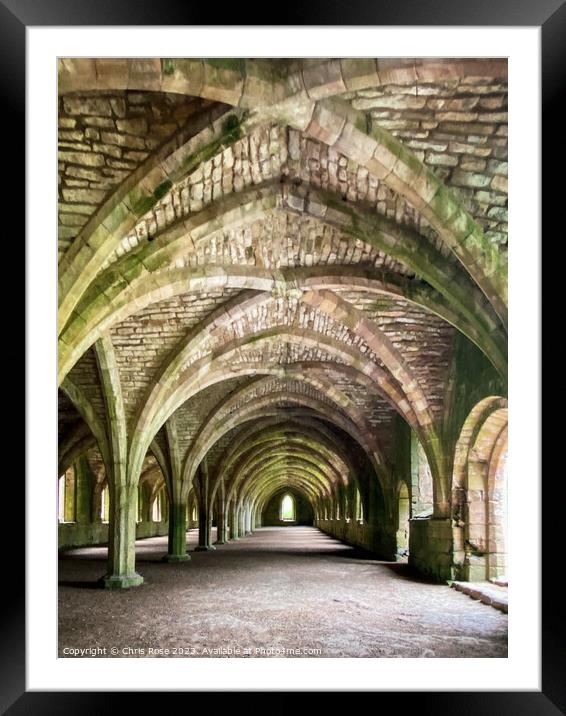 Fountains Abbey cellarium Framed Mounted Print by Chris Rose