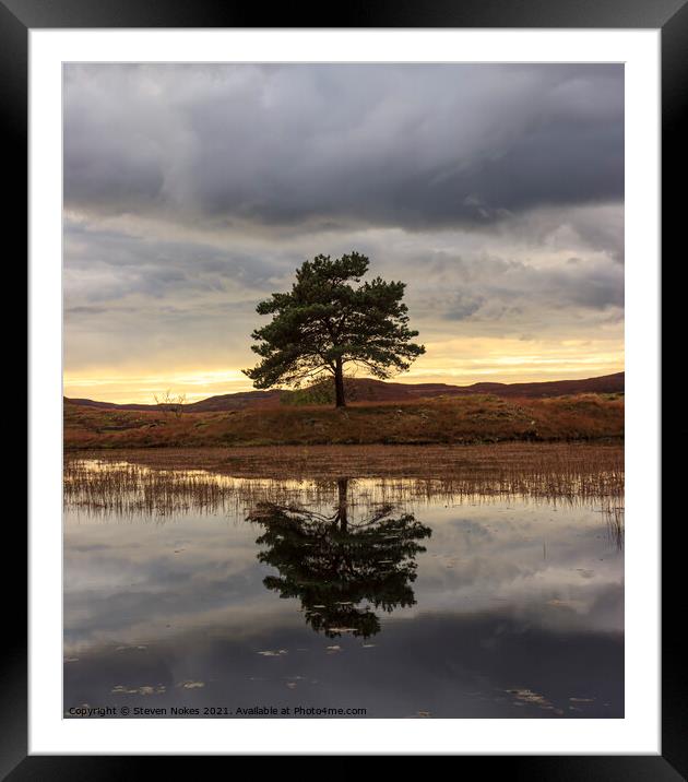 The Solitude of a Tree Framed Mounted Print by Steven Nokes