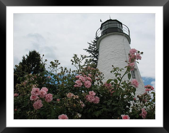 Havre de Grace, MD Lighthouse Framed Mounted Print by Angela Martin