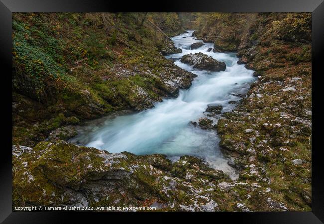 Vintgar Gorge, Slovenia Framed Print by Tamara Al Bahri