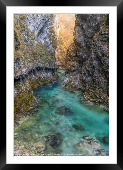 Vintgar Gorge, Slovenia Framed Mounted Print by Tamara Al Bahri