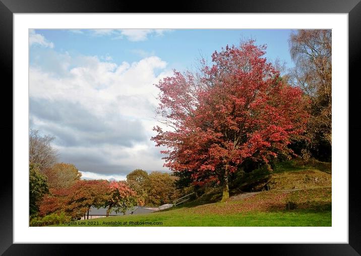 Forever Autumn Framed Mounted Print by Angela Lee