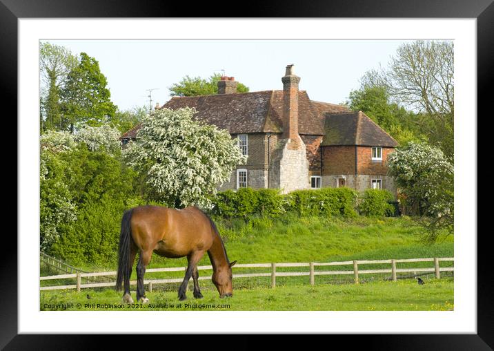 Horse and House Framed Mounted Print by Phil Robinson