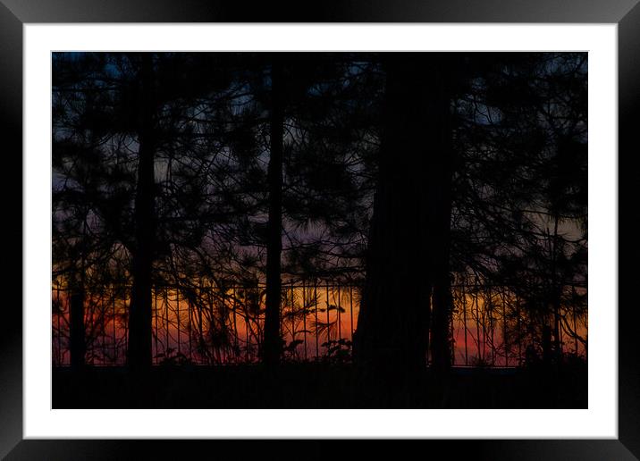 Sunset through Wotton Clump Framed Mounted Print by Mark Rosher