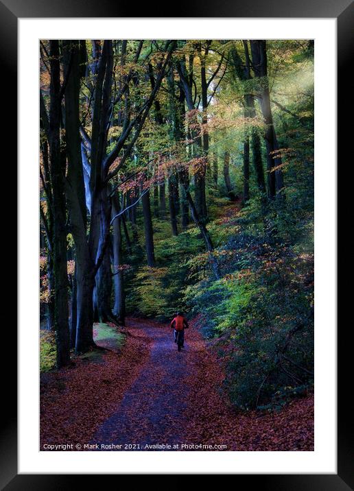 Cycling through the beech wood Framed Mounted Print by Mark Rosher