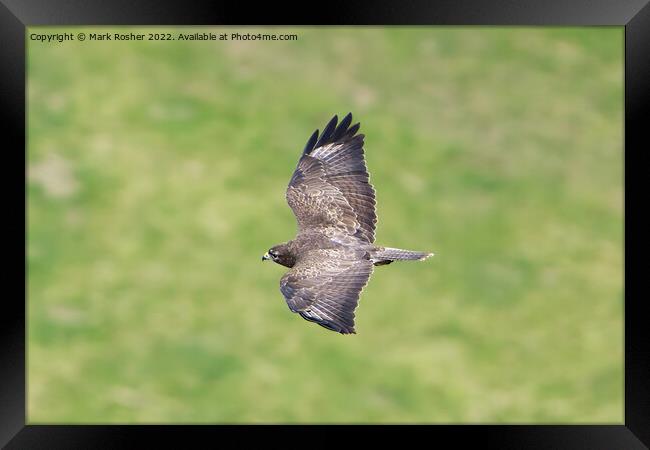 Looking Down Framed Print by Mark Rosher