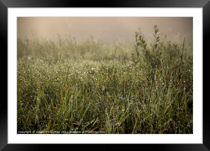 Morning Dew Framed Mounted Print by Stephen Coughlan