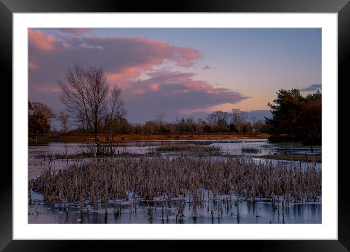 COLD EVENING... Framed Mounted Print by Elzbieta Sosnowski