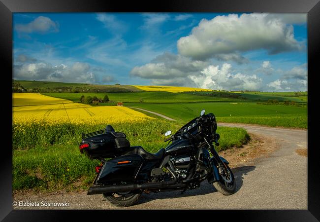 Harley Davidson Framed Print by Elzbieta Sosnowski