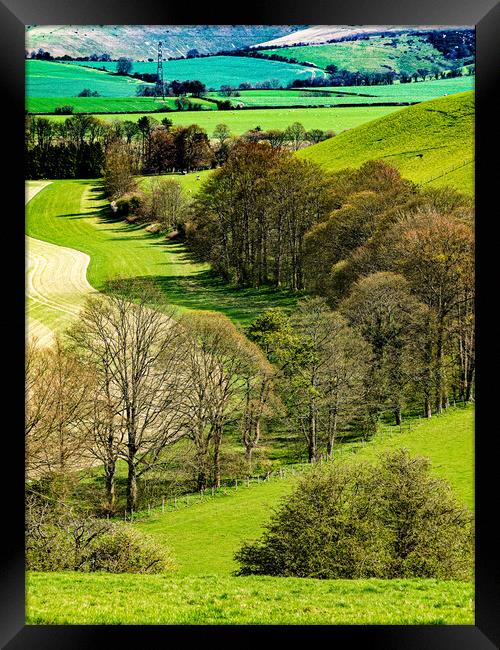 Tree Line Framed Print by Gerry Walden LRPS