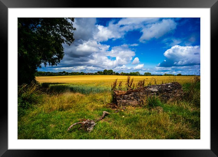 Field of Gold Framed Mounted Print by Gerry Walden LRPS