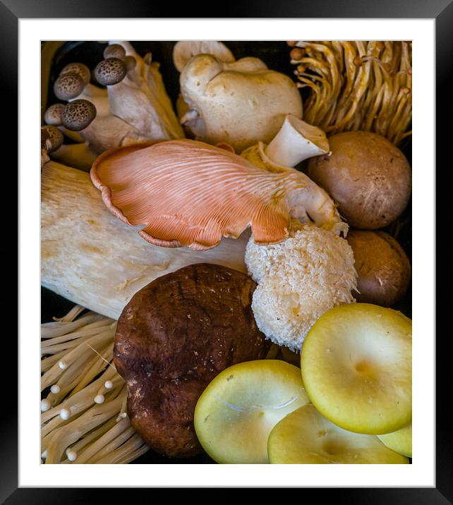 Mixed edible fungi Framed Mounted Print by Gerry Walden LRPS