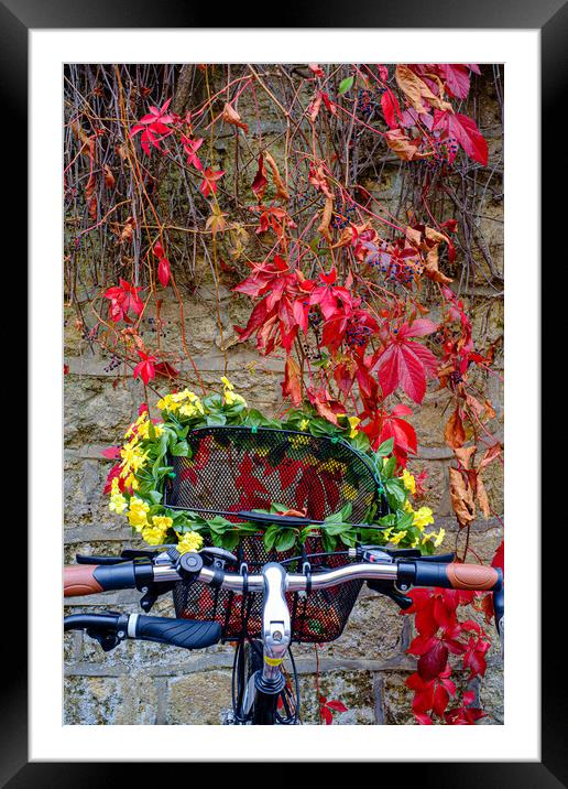 Bicycle Basket Framed Mounted Print by Gerry Walden LRPS
