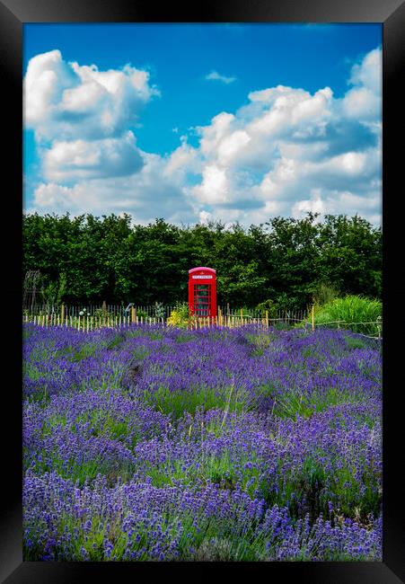 Blue, red, violet Framed Print by Gerry Walden LRPS