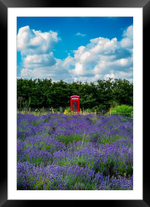 Blue, red, violet Framed Mounted Print by Gerry Walden LRPS