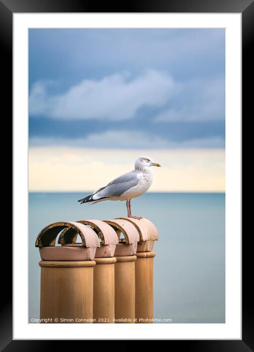 Seagulls, Ramsgate Framed Mounted Print by Simon Connellan