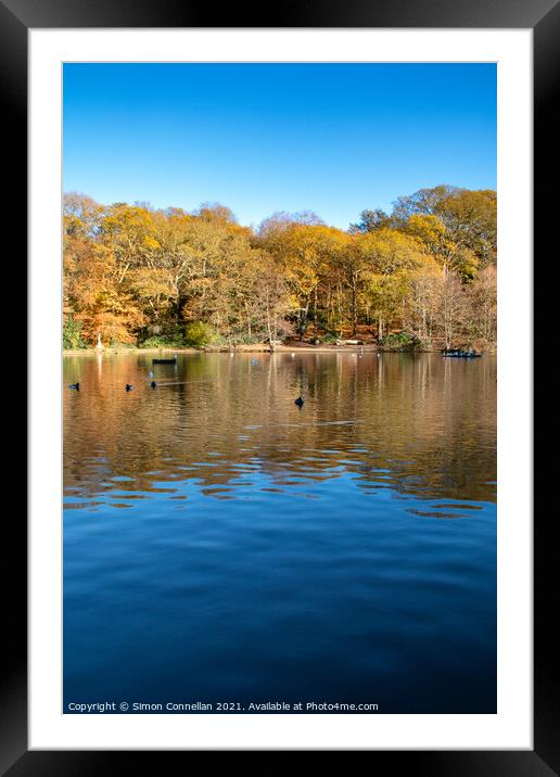Queensmere Lake, Wimbledon Common Framed Mounted Print by Simon Connellan