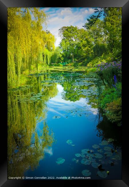 Monets Garden Water Lilies Framed Print by Simon Connellan