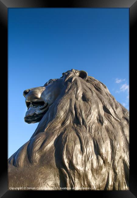 Landseer Lions, Trafalgar Square Framed Print by Simon Connellan