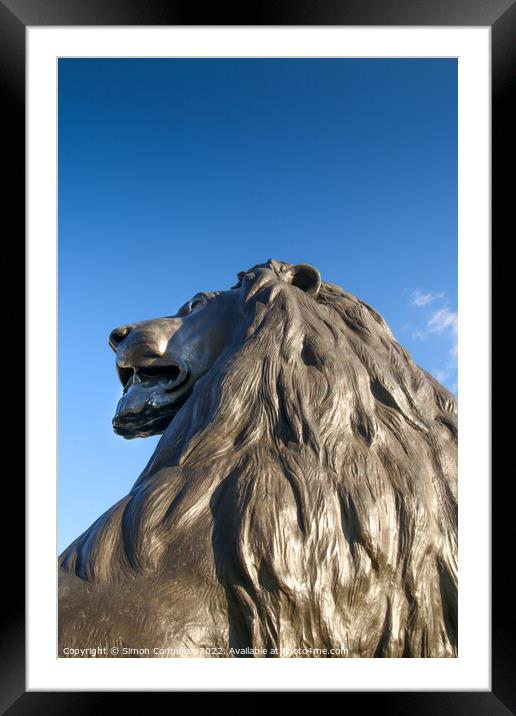 Landseer Lions, Trafalgar Square Framed Mounted Print by Simon Connellan