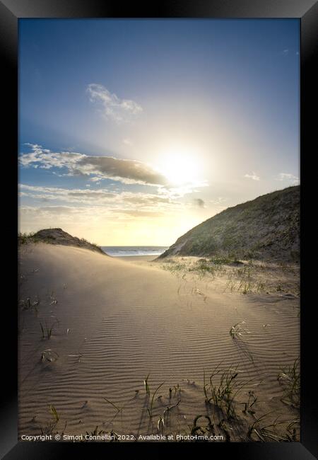Windswept Sand Dunes Framed Print by Simon Connellan