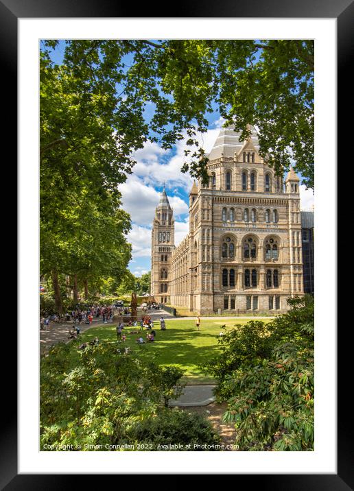 Natural History Museum Framed Mounted Print by Simon Connellan