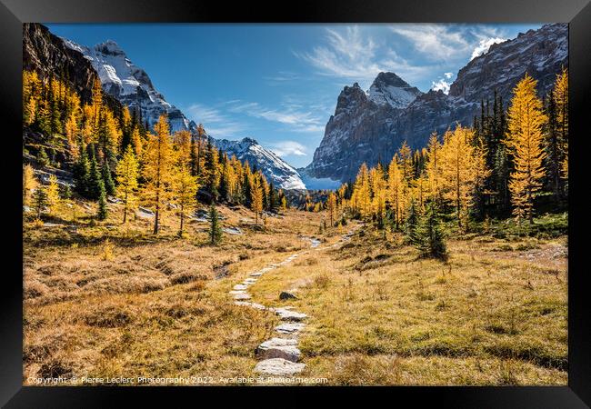Hiking to the Golden Larch trees Framed Print by Pierre Leclerc Photography