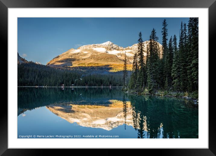 Lake O'Hara Autumn Reflection Framed Mounted Print by Pierre Leclerc Photography