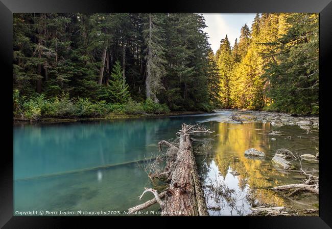 Serenity of Cheakamus River in Whistler, BC Framed Print by Pierre Leclerc Photography