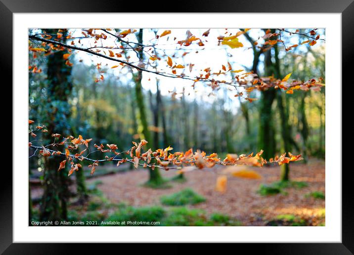 Autumn Leaves Framed Mounted Print by Allan Jones