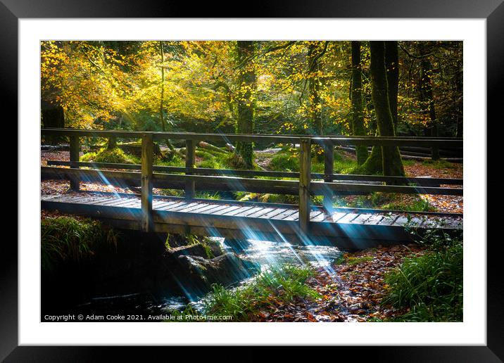Bridge Over The River Fowey | Golitha Falls Framed Mounted Print by Adam Cooke