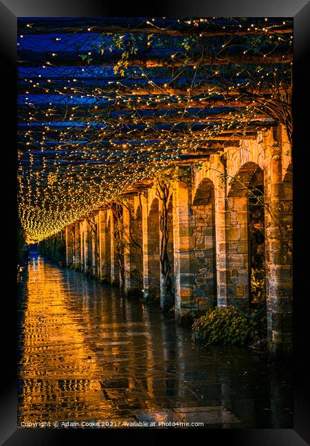 Tunnel of Light | Hever Castle Framed Print by Adam Cooke