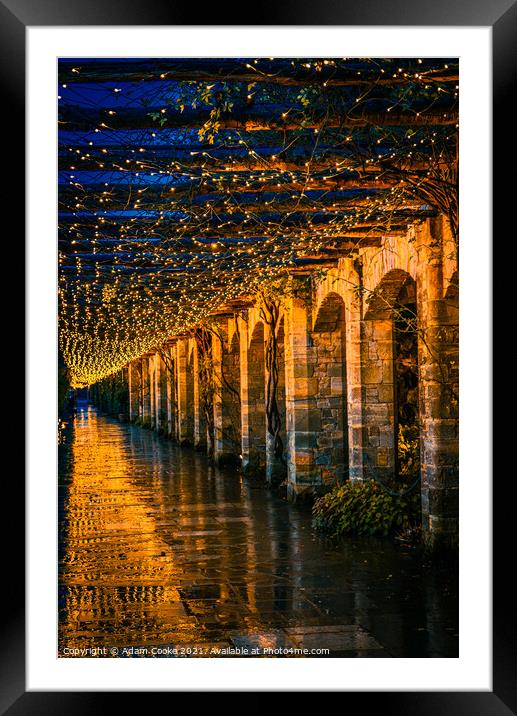Tunnel of Light | Hever Castle Framed Mounted Print by Adam Cooke