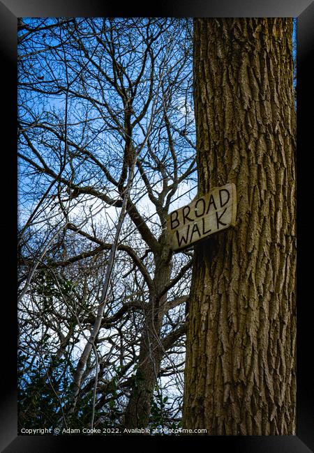 Broad Walk | Selsdon Wood Nature Reserve Framed Print by Adam Cooke