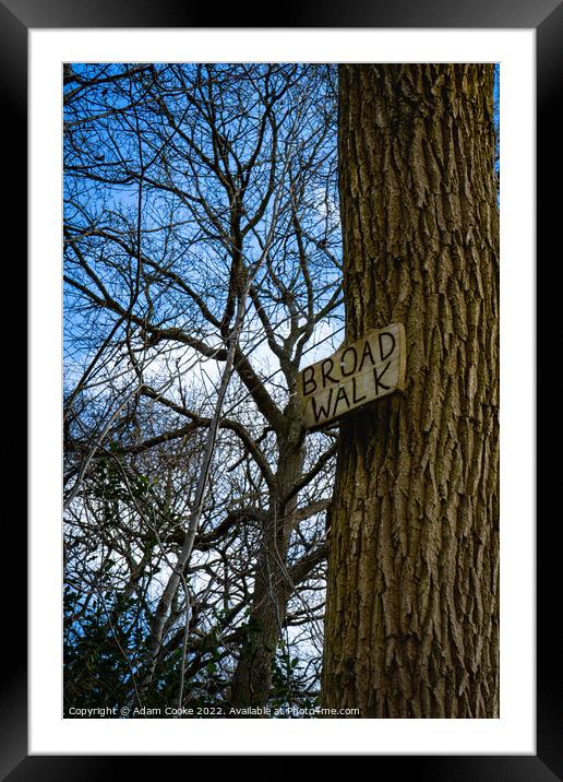 Broad Walk | Selsdon Wood Nature Reserve Framed Mounted Print by Adam Cooke