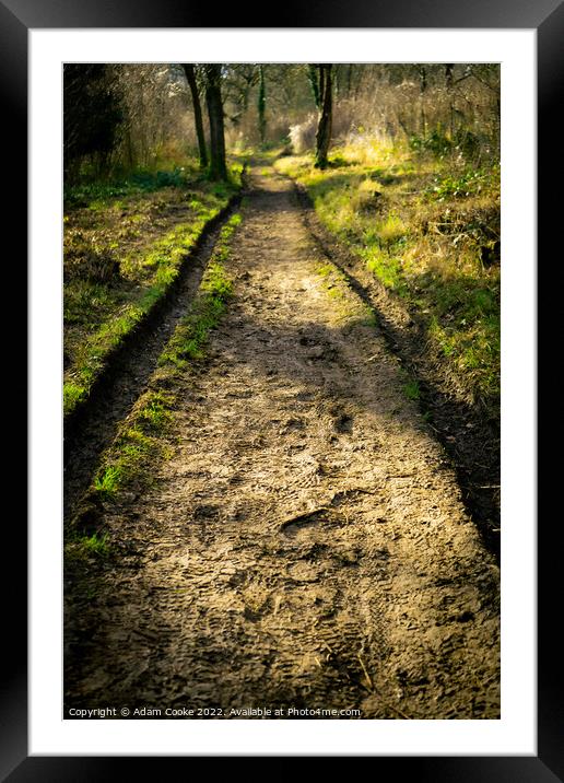 Muddy Path Ahead | Selsdon Wood Nature Reserve | B Framed Mounted Print by Adam Cooke