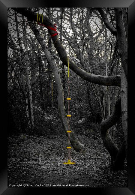 Rope Swing | Selsdon Wood Nature Reserve Framed Print by Adam Cooke