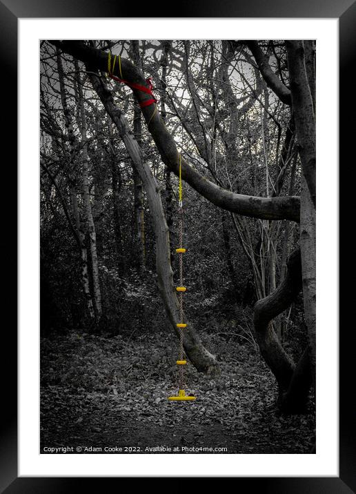 Rope Swing | Selsdon Wood Nature Reserve Framed Mounted Print by Adam Cooke