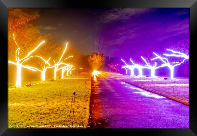 Kew Gardens Light Trail | London Framed Print by Adam Cooke